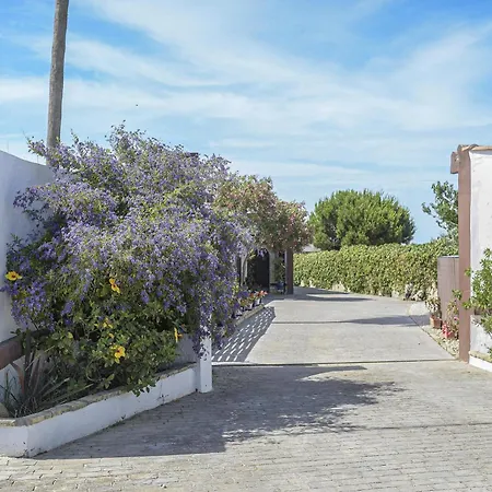 Abril 1 Piscina Compartida Conil De La Frontera